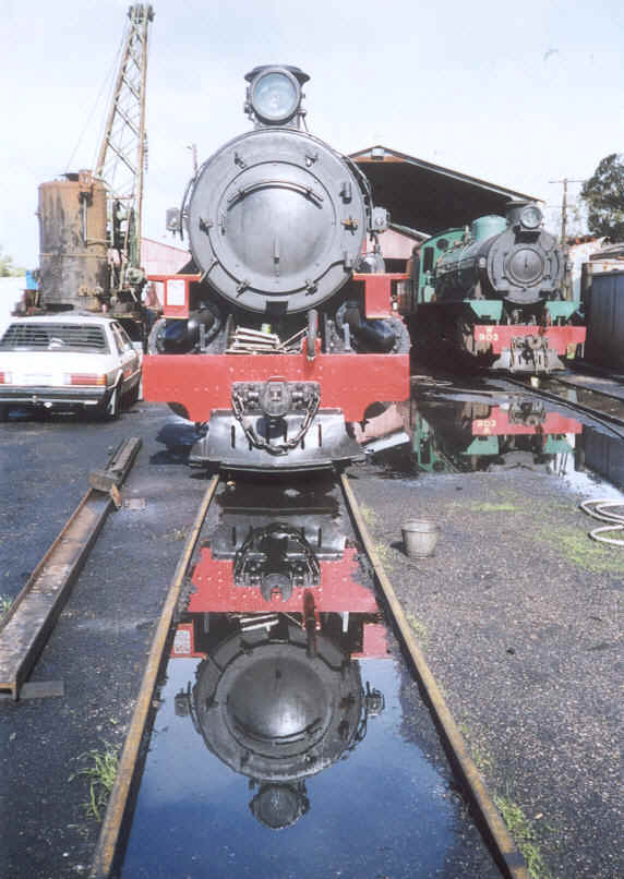 Pm 706 & W 903 at Pinjarra Steam Loco Depot 5/6/02           by N. Blinco 