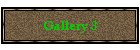 Gallery 3